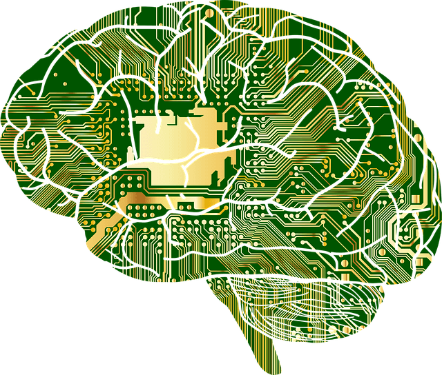 New Study Shows Phthalates in Plastics Harm Brain Development