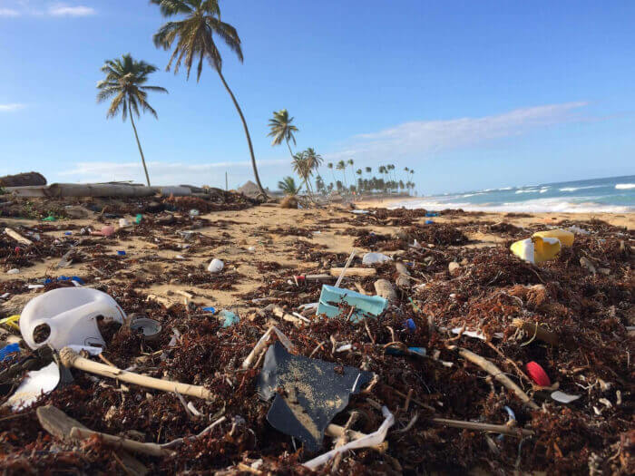 Plastics leach chemicals