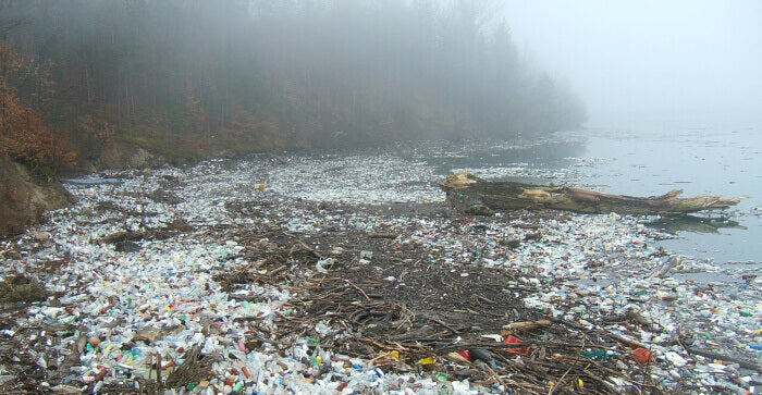 By 2050, there will be more plastic in the ocean, by weight, than there will be fish.